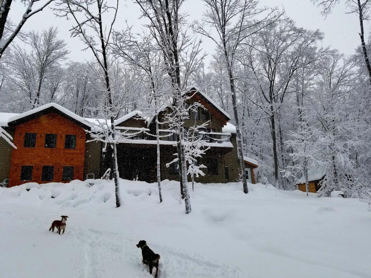 Les Cabines Nordik Des Piles Villa Saint-Jean-des Piles Exterior foto