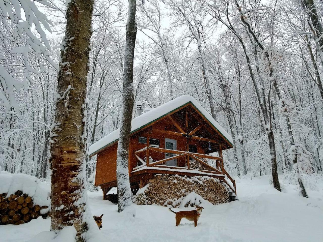 Les Cabines Nordik Des Piles Villa Saint-Jean-des Piles Exterior foto