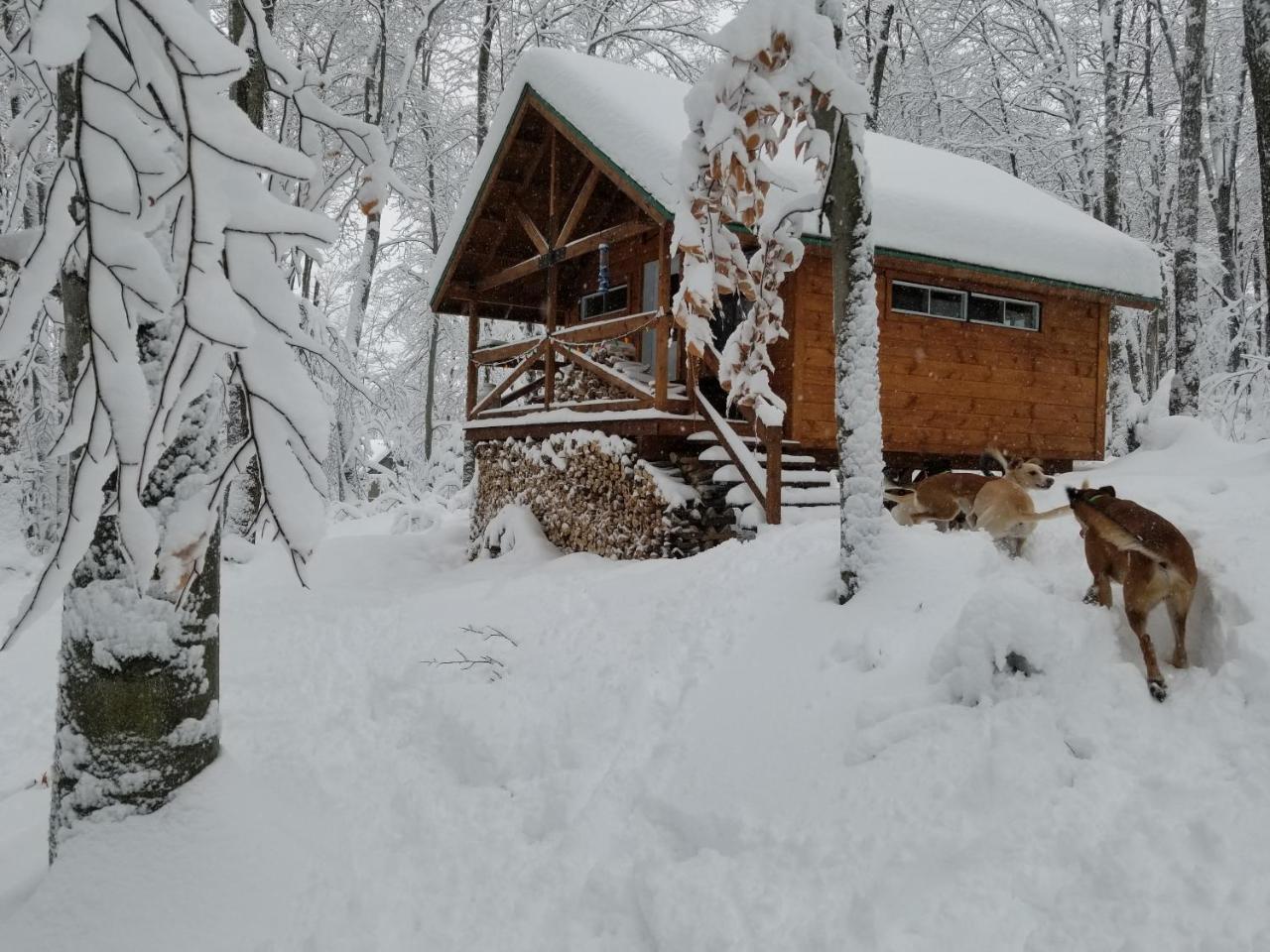 Les Cabines Nordik Des Piles Villa Saint-Jean-des Piles Exterior foto