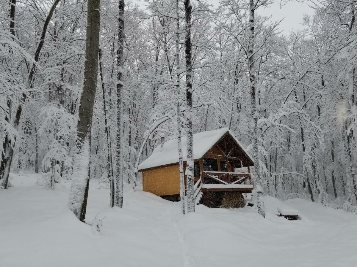 Les Cabines Nordik Des Piles Villa Saint-Jean-des Piles Exterior foto
