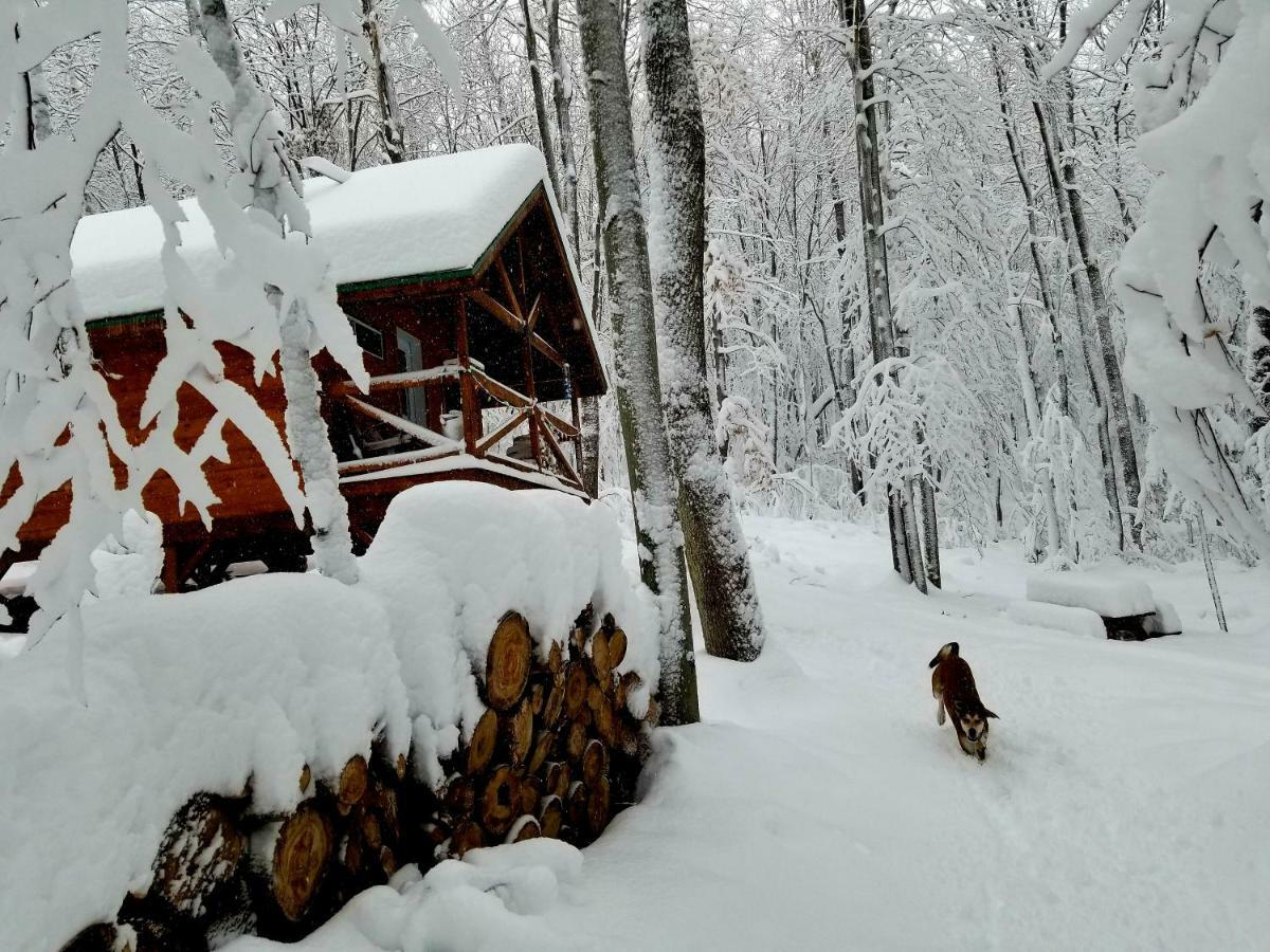 Les Cabines Nordik Des Piles Villa Saint-Jean-des Piles Exterior foto